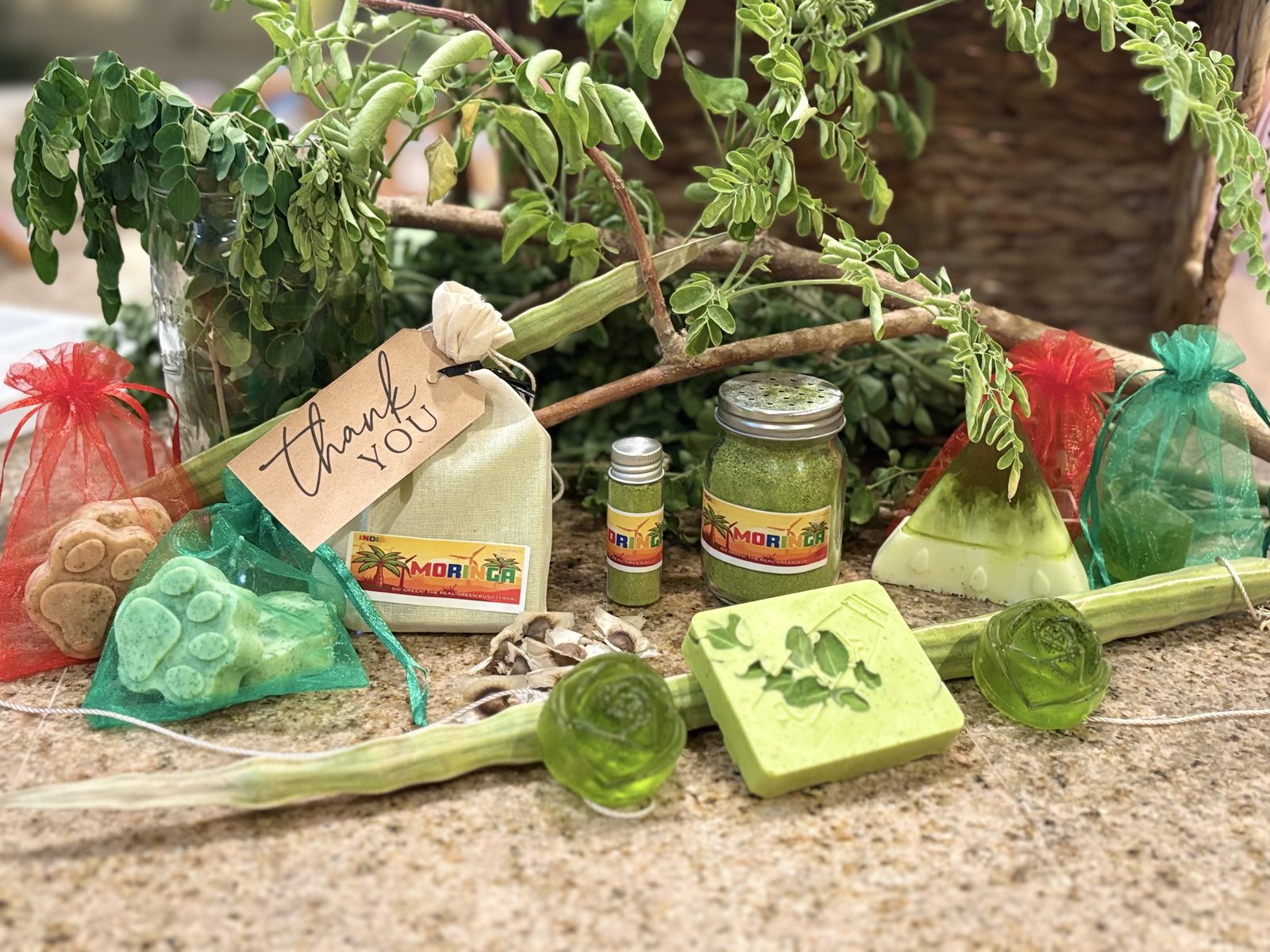 A spread of finished Moringa products including a branded jar and vial of powder, handmade Moringa soap bars, Moringa hard candies, and a thank-you gift bag, with fresh moringa leaves in the background